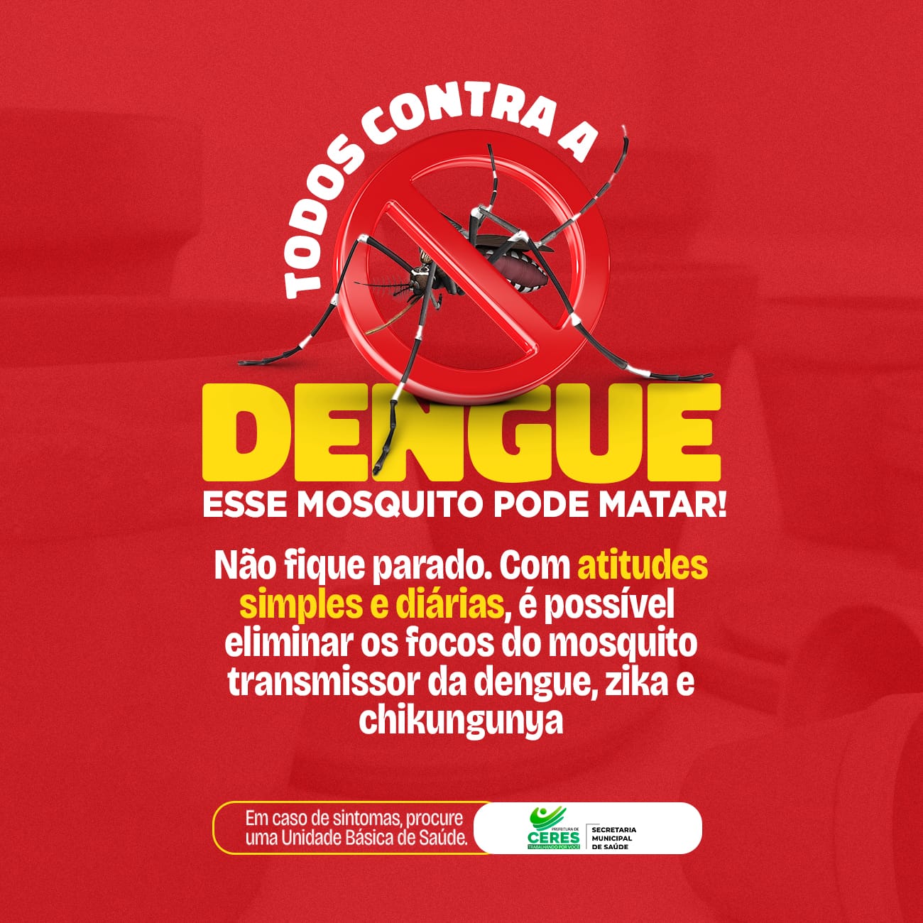 TODOS CONTRA A DENGUE
